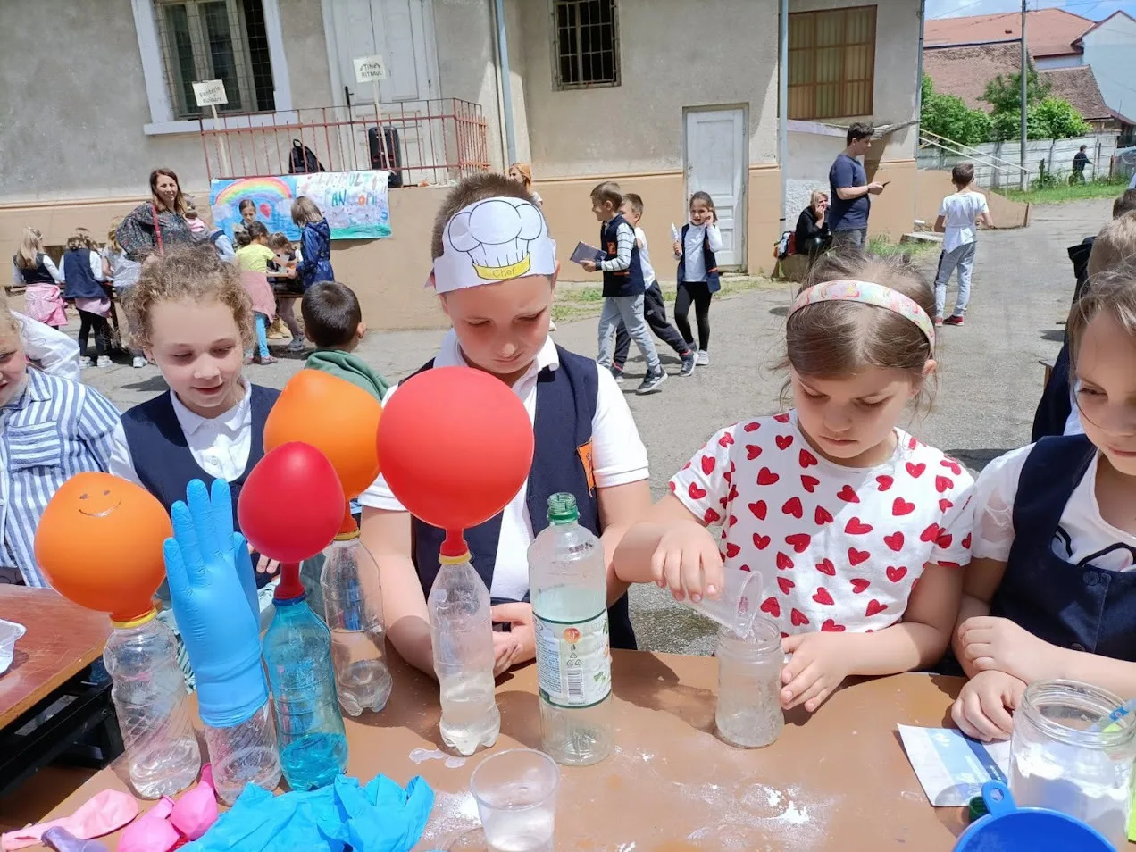 Activitate la cercul Chimie experimentală